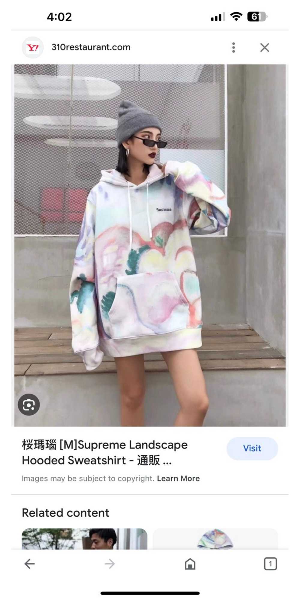 Supreme Supreme Landscape Hooded Sweatshirt Multi… - image 8