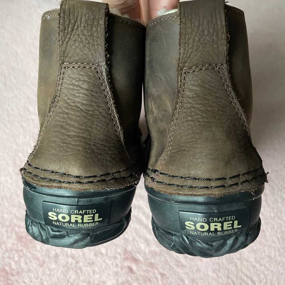 Sorel out and about - image 2