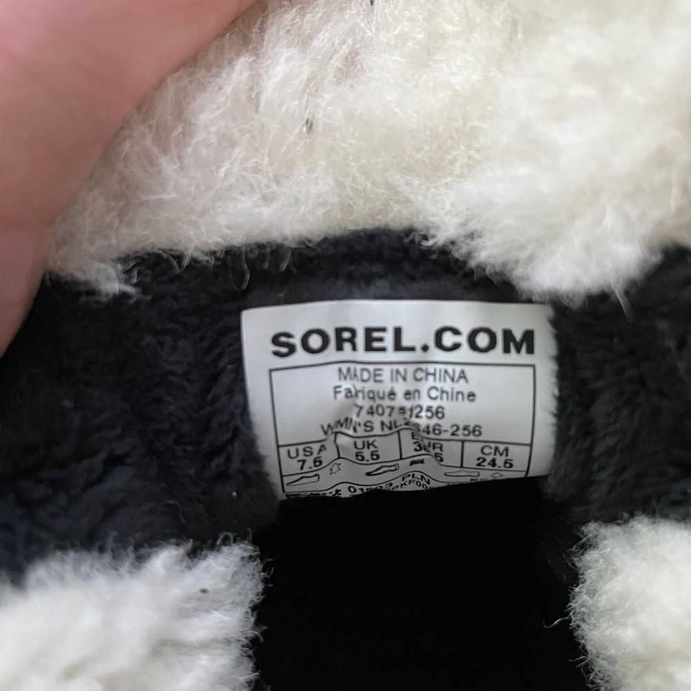 Sorel out and about - image 9