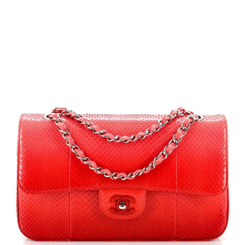 Chanel Classic Double Flap Bag Python Medium - image 1