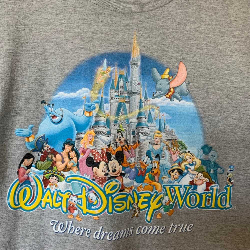 Disneyworld Splash Mountain adult large tshirt - image 2