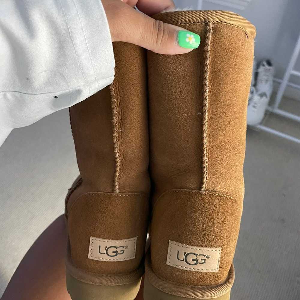 Classic Ugg Boots - image 4