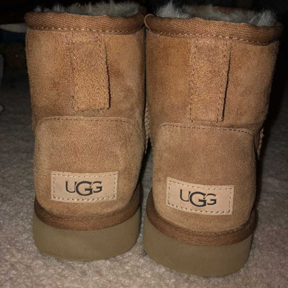 NEW Uggs Ankle Boots -- Chestnut Size 7 - image 1