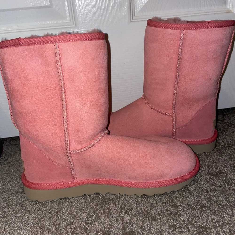 BRAND NEW Womens pink uggs - image 6