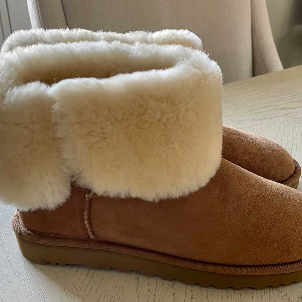 bailey button uggs - image 1