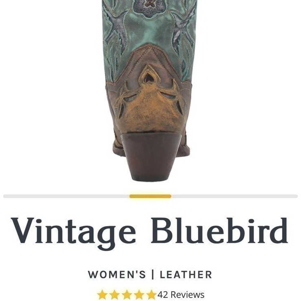 Vintage Bluebird - image 2