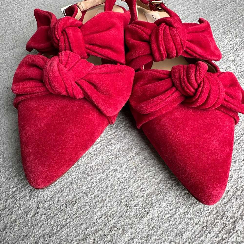 Antonio Melani Remalyn Suede Red Rouge Double Bow… - image 3