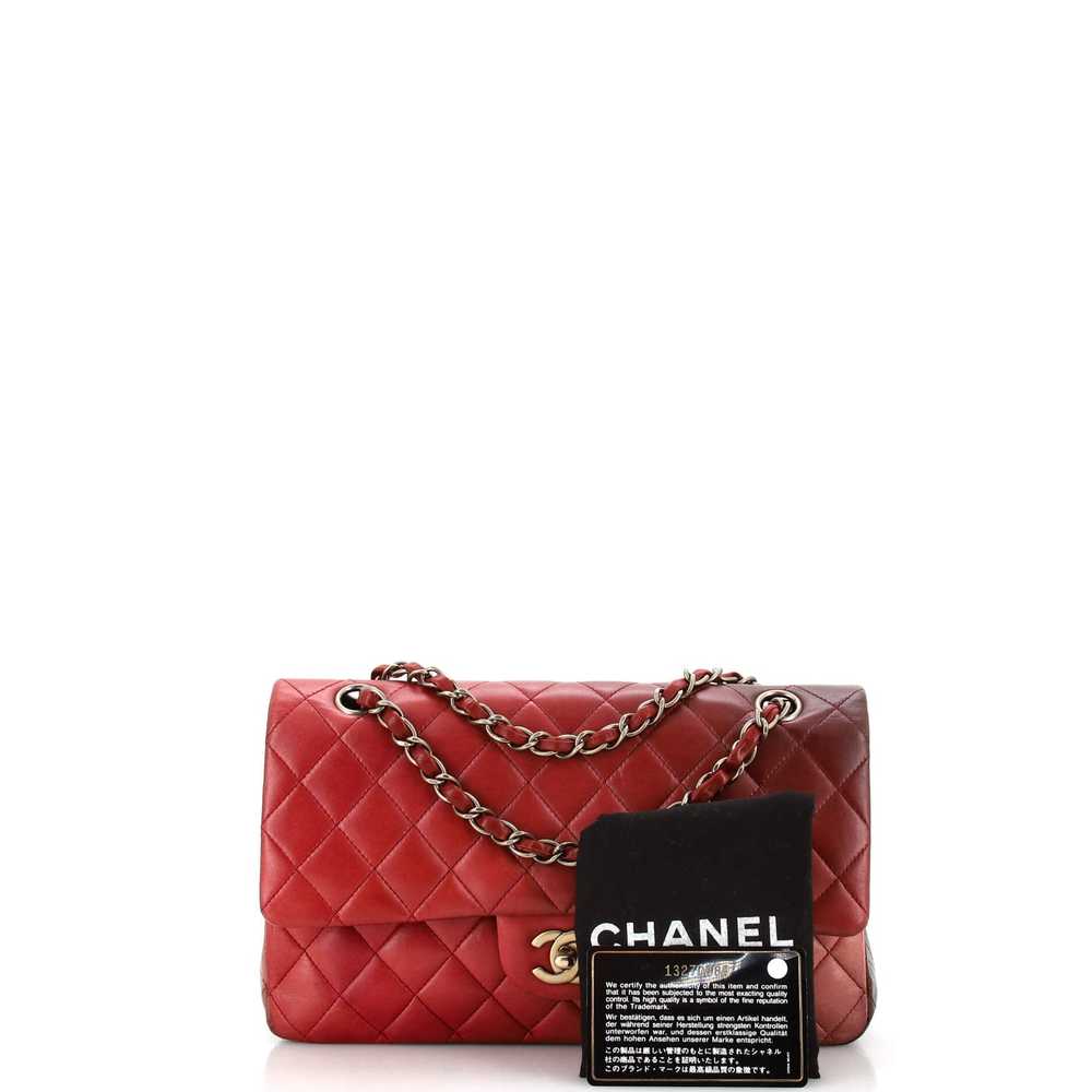 CHANEL Classic Double Flap Bag Quilted Ombre Lamb… - image 2