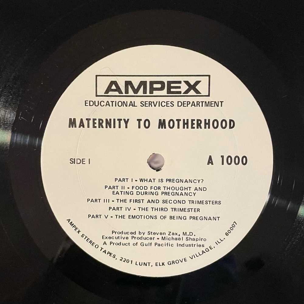 Blank Maternity To Motherhood LP vintage vinyl re… - image 5