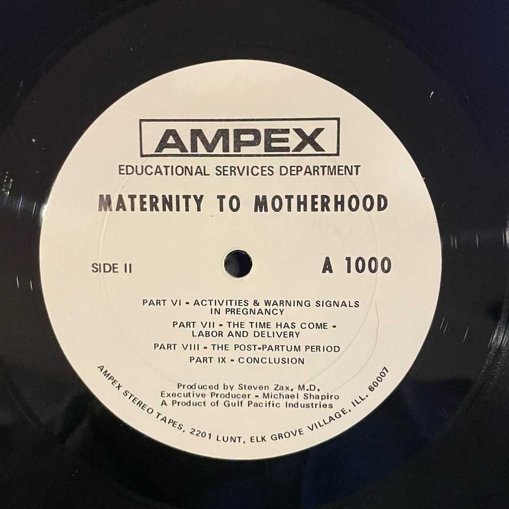 Blank Maternity To Motherhood LP vintage vinyl re… - image 6