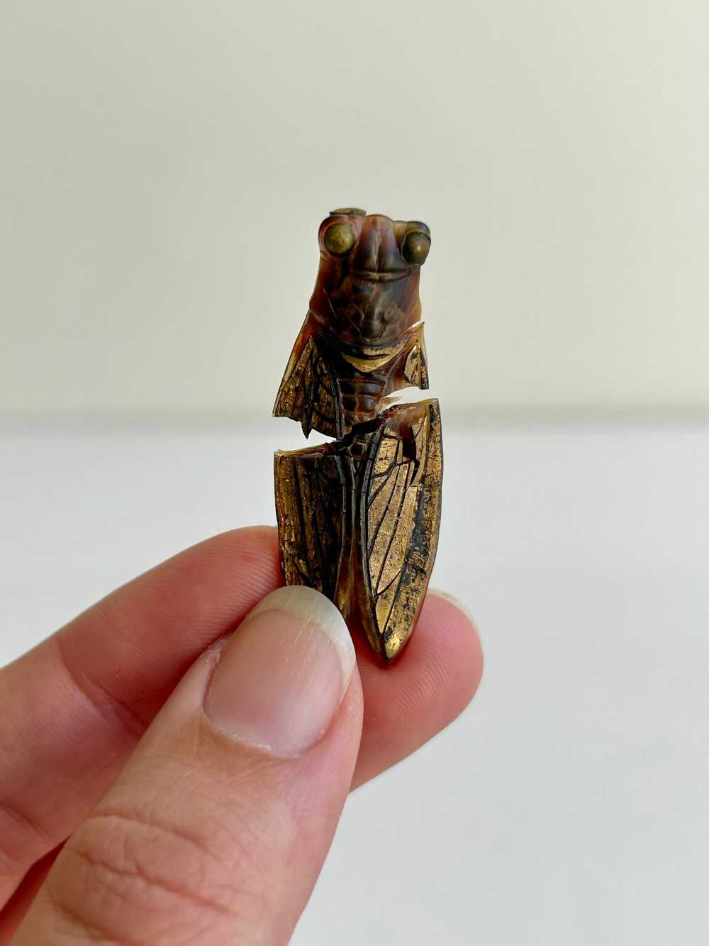 Vintage Resin Cicada Pin 1.75” - image 1