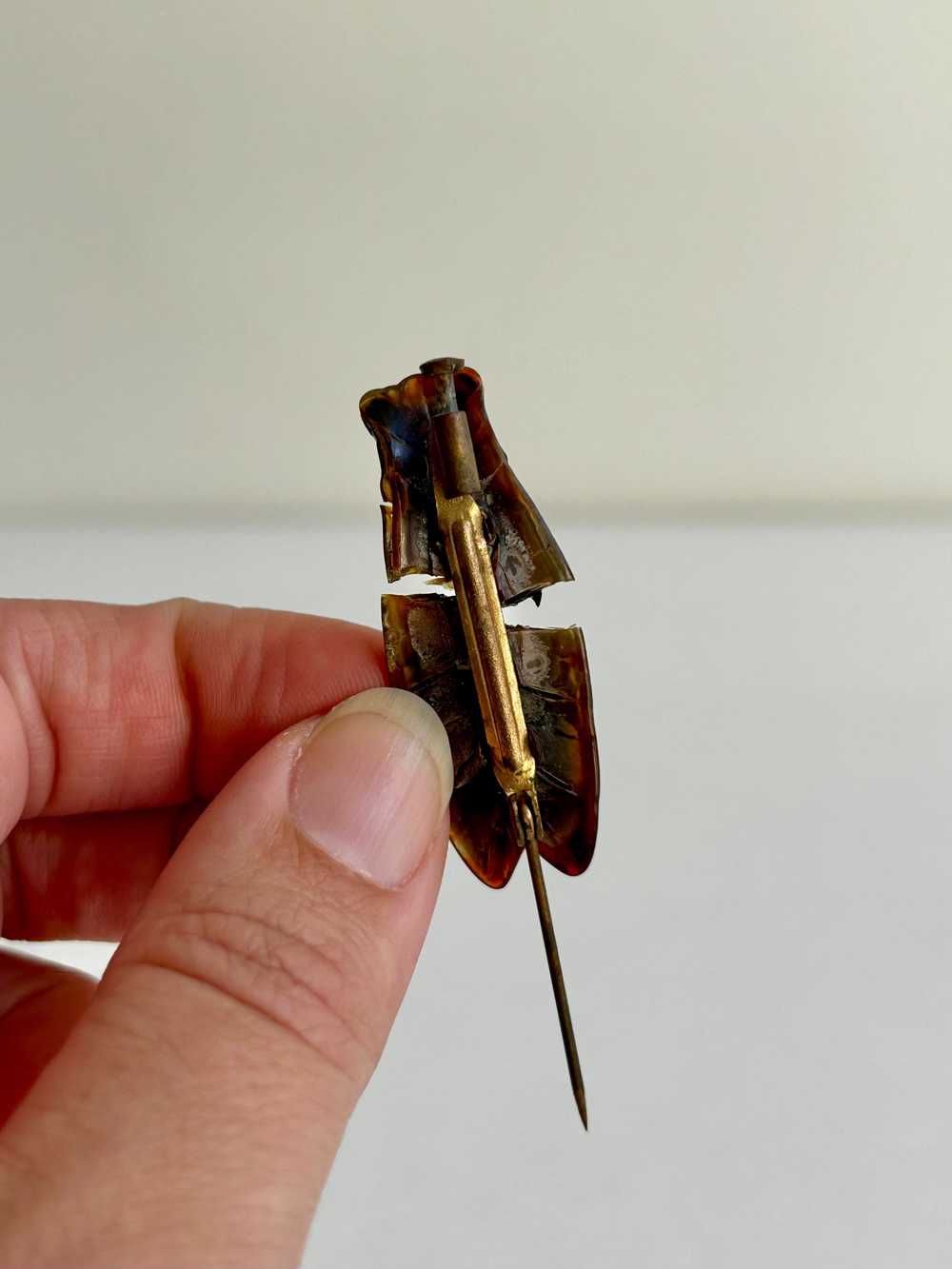 Vintage Resin Cicada Pin 1.75” - image 2