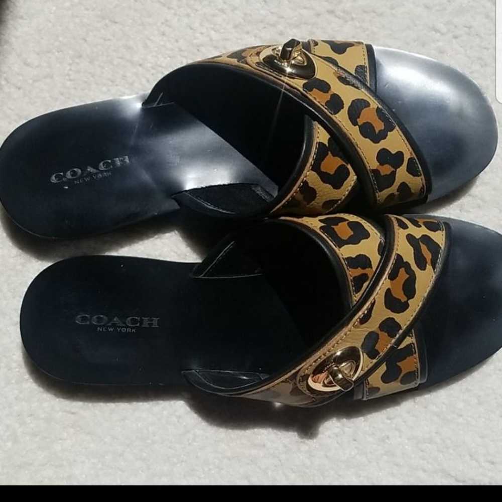 Coach slide sandals - Gem