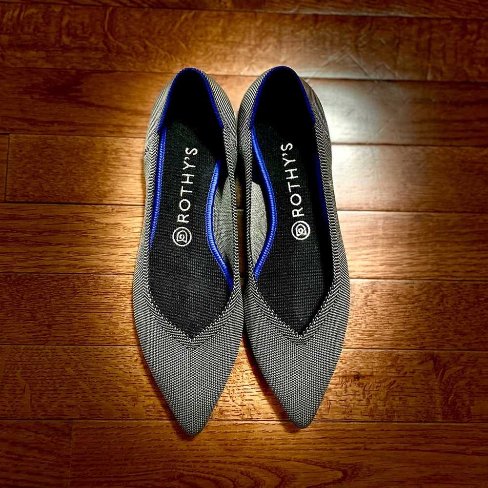 Rothy's birdseye pointed toe flats - image 1